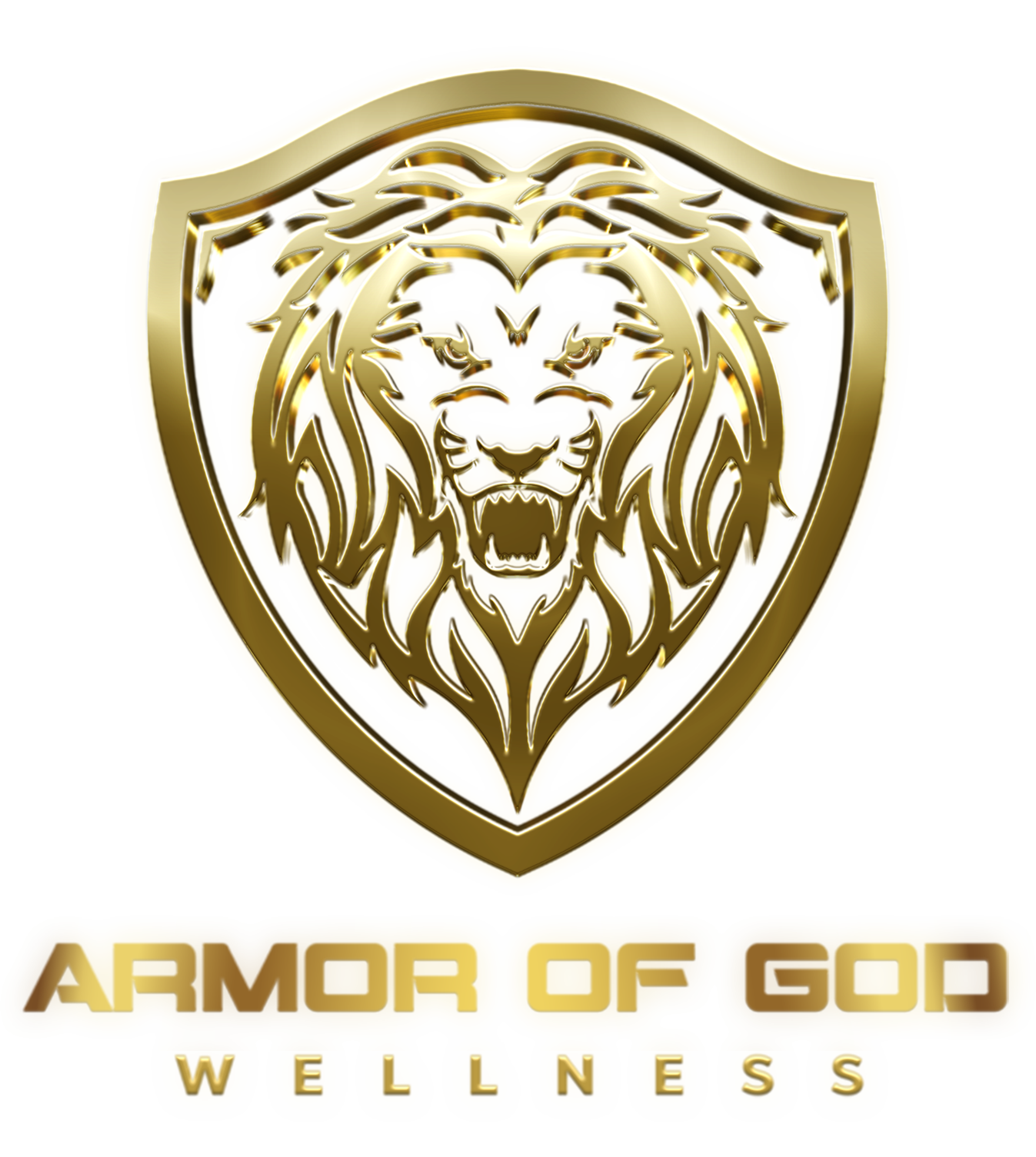 Armor of God Wellness